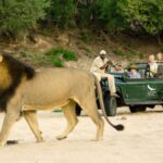 Kruger National Park
