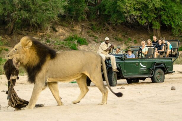 Kruger National Park