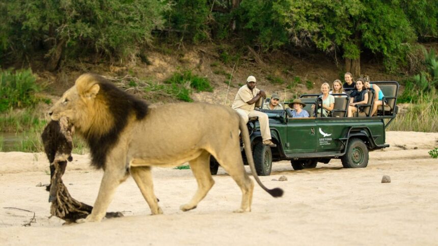 Kruger National Park