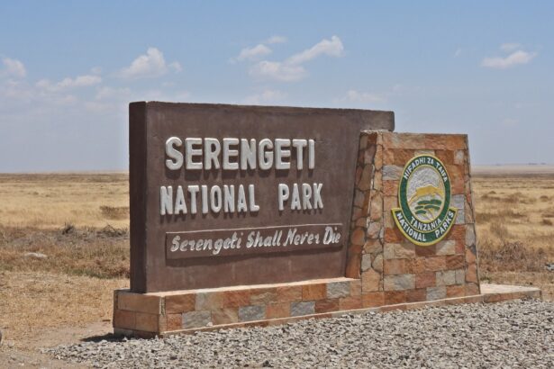Serengeti National Park tourism