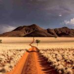 Digital planning tools are reinforcing that appeal, turning careful preparation into part of the journey. 