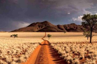 Digital planning tools are reinforcing that appeal, turning careful preparation into part of the journey. 