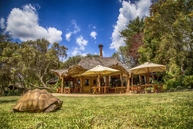 Chui Lodge main area