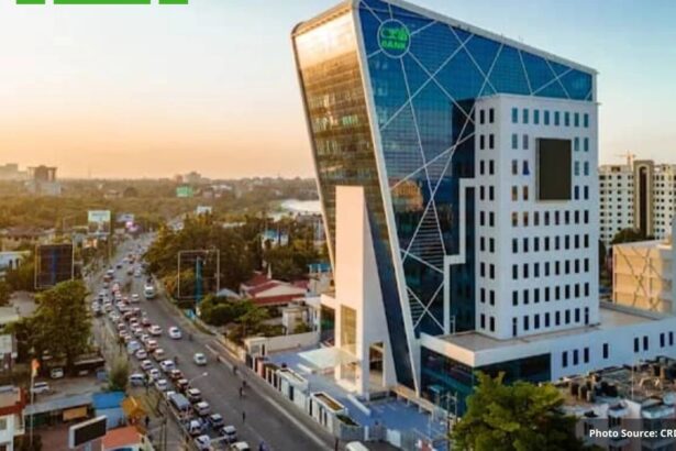 Dar es Salaam Stock Exchange stocks