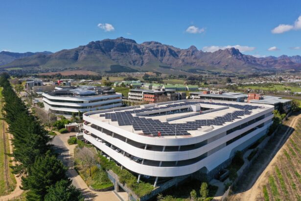 Top Capitec Bank shareholders