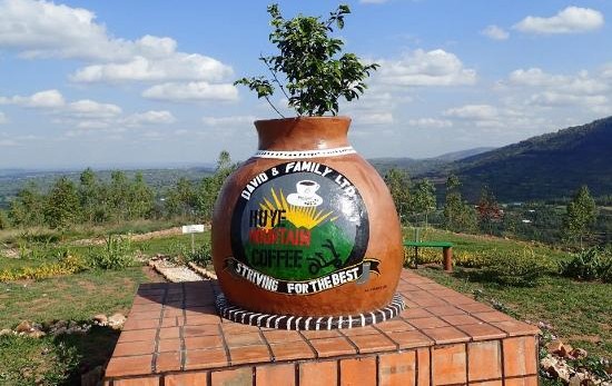 Biggest coffee farms in Africa