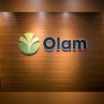 Africa cashew farming industry