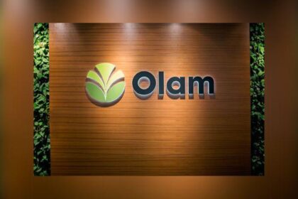 Africa cashew farming industry