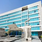 Raya Holding profit 2025