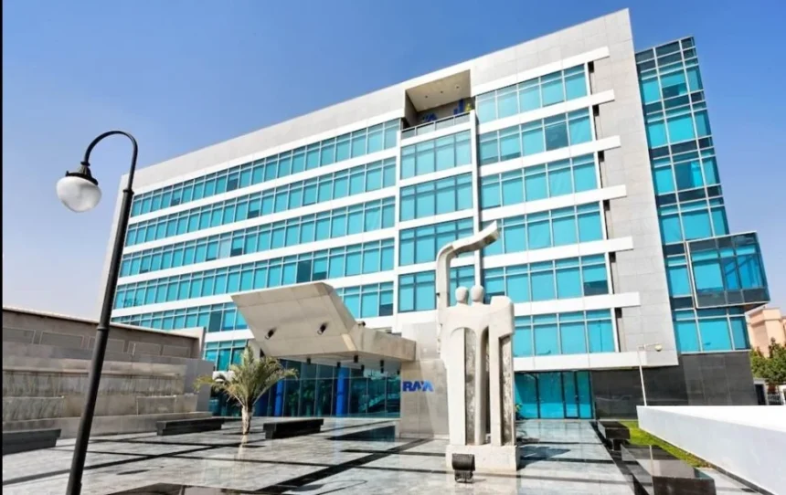 Raya Holding profit 2025