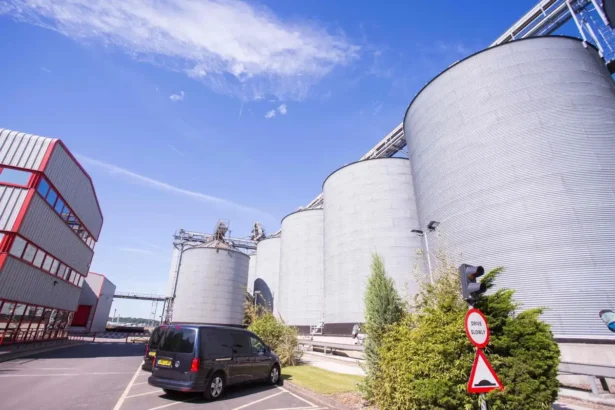 Largest rice farms in Africa