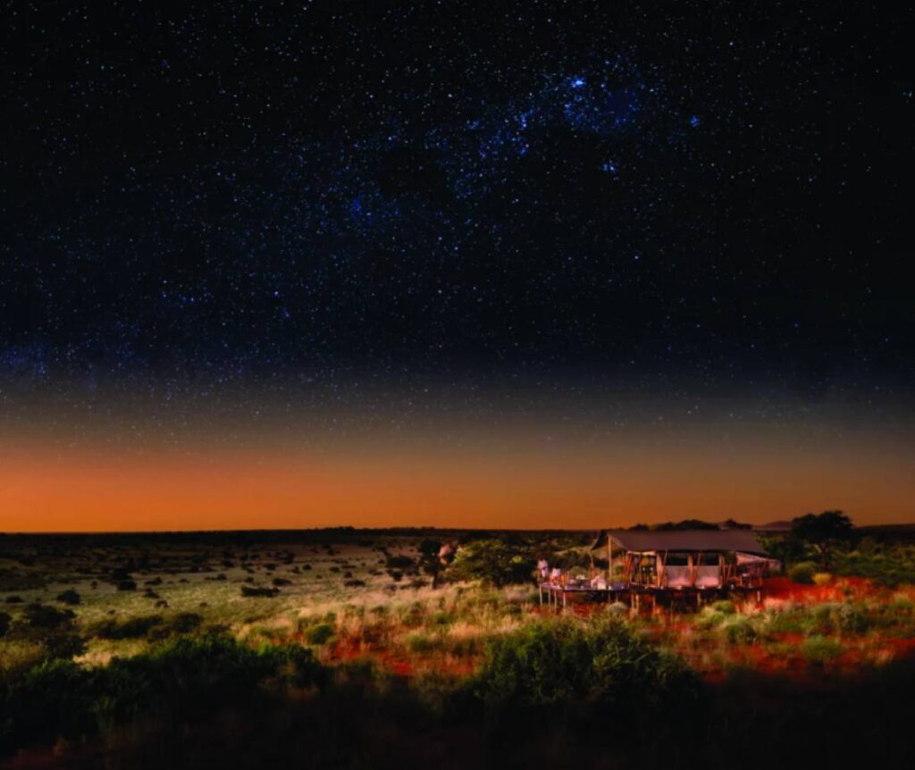 Tswalu by night: serene Kalahari evenings, rare wildlife under starlight, and exclusive safari experiences for guests seeking quiet luxury.