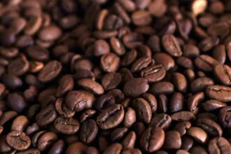 Coffee earned Uganda about $2.4 billion in the 12 months to November