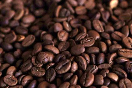Coffee earned Uganda about $2.4 billion in the 12 months to November