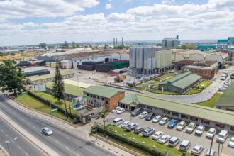 Leading beverage companies in Zambia