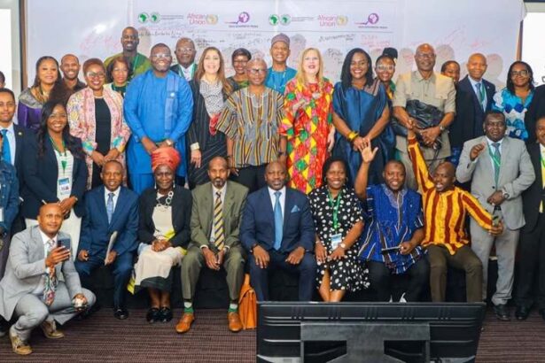 AfDB and AU urge visa-free travel across Africa to boost trade and tourism