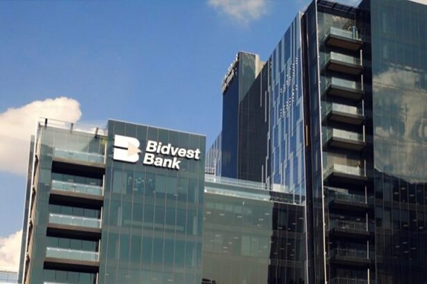 Access Bank Bidvest deal