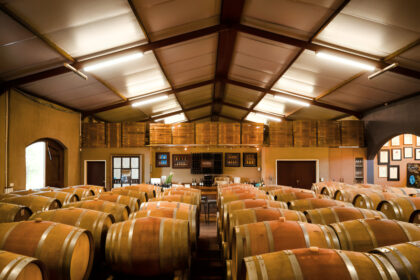 Africa’s biggest wine farms