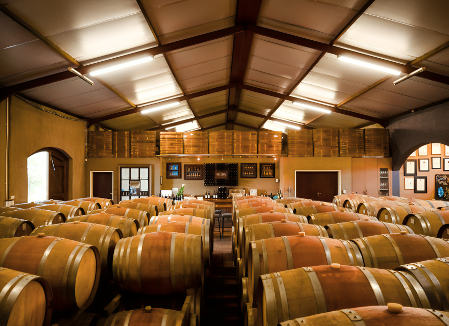 Africa’s biggest wine farms