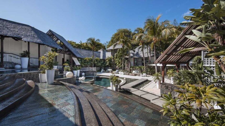 Royal Palm Beachcomber