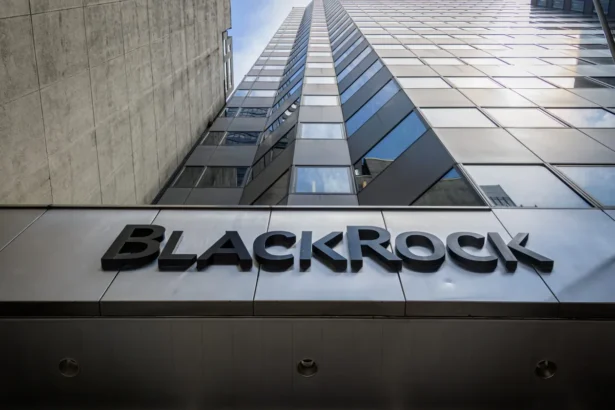 BlackRock Clicks Group stake