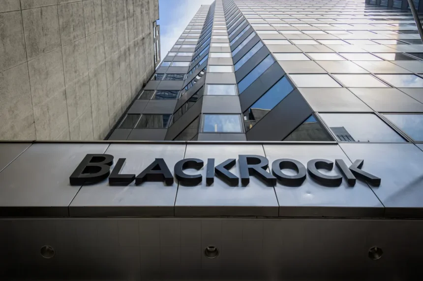 BlackRock Clicks Group stake