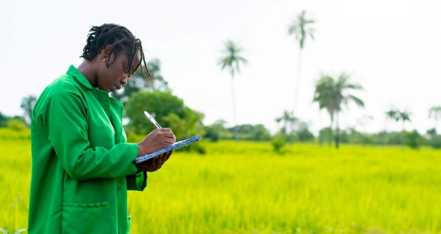 ERBD boosts West Africa agriculture with $153 million