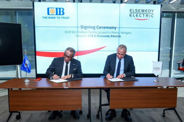 Elsewedy Electric Hungary power plant loan