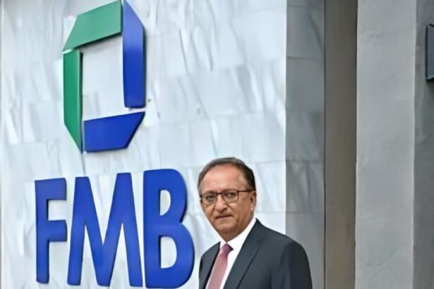 Anadkat’s FMB Capital stake takes hit