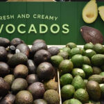 Africa avocado exporters 2026