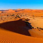 This vast reserve is not only known for its size but for its natural beauty and diversity.