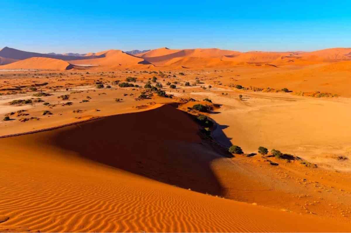 This vast reserve is not only known for its size but for its natural beauty and diversity.