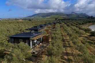 Olijvenkraal Winelands Lodge