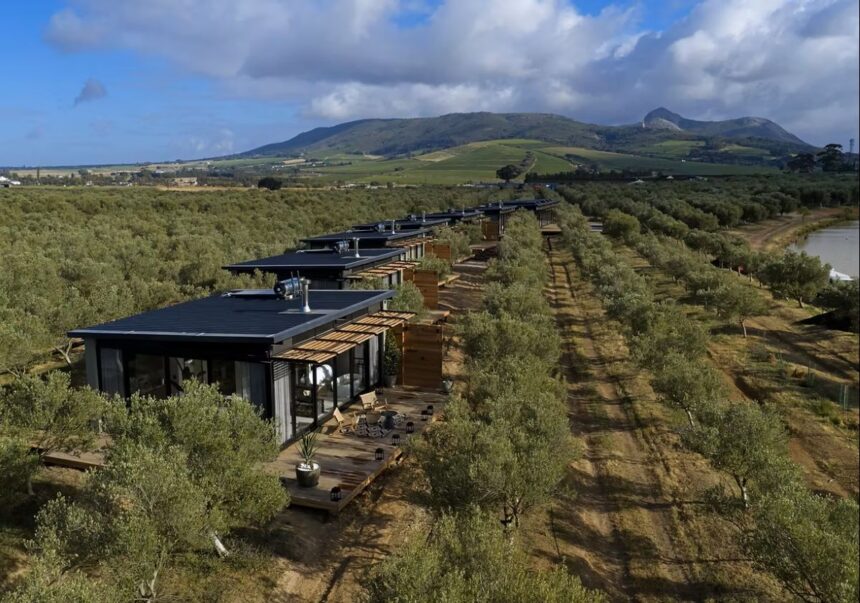 Olijvenkraal Winelands Lodge