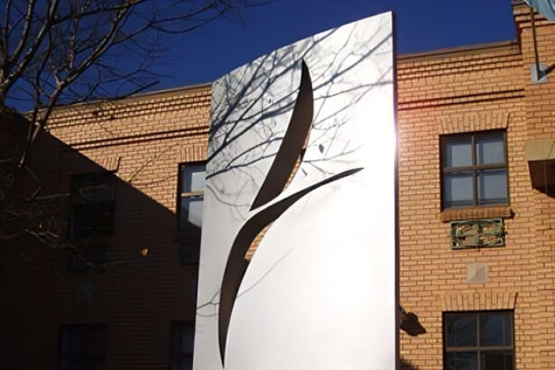 PIC Sibanye-Stillwater dividend