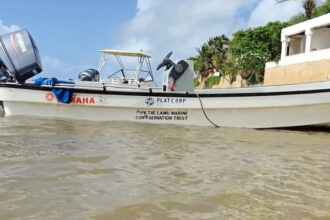 IFC $52 million Platcorp financing