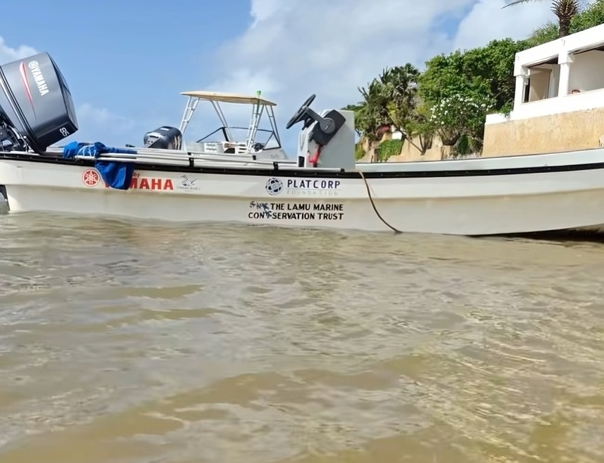 IFC $52 million Platcorp financing