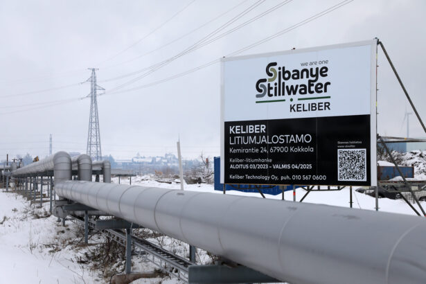 Sibanye Stillwater platinum prices