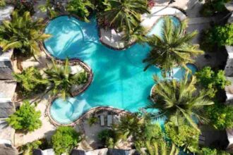 The Nest Tropical Oasis blends modern comforts with Swahili-inspired architecture.