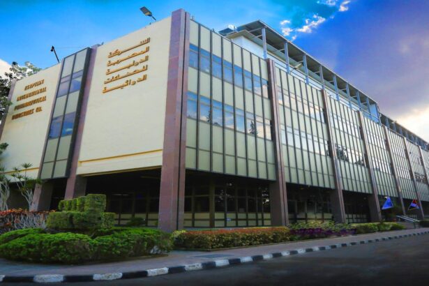 Egypt healthcare stocks EGX