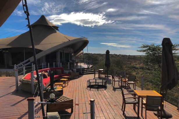 African-owned hotels in Africa