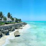 The Tourism Statistical Release for December 2025 shows Zanzibar received 100,729 international visitors