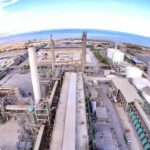 Africa’s largest agribusiness companies