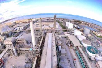 Africa’s largest agribusiness companies