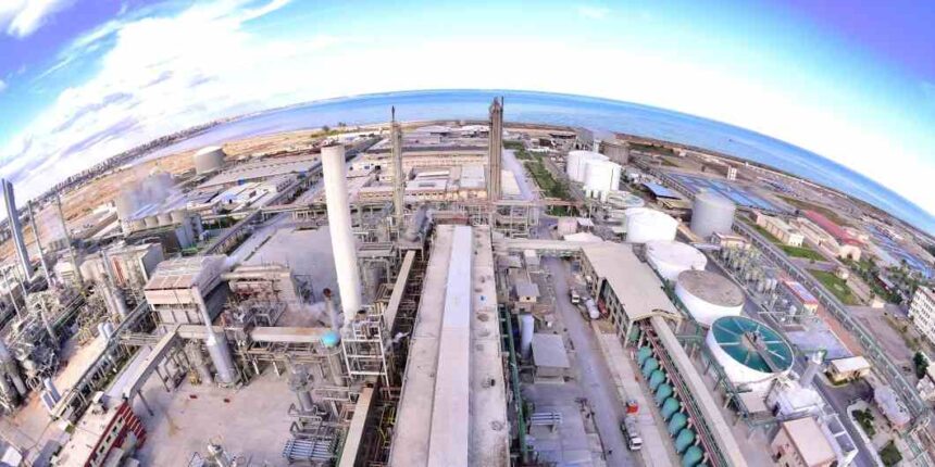 Africa’s largest agribusiness companies