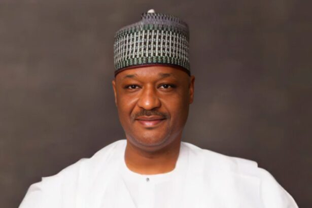 Musbahu Bashir companies