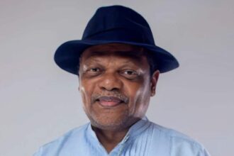 Atedo Peterside Stanbic IBTC stake