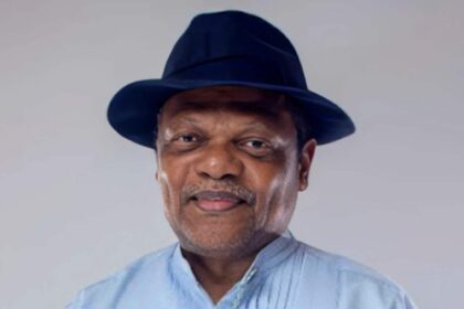 Atedo Peterside Stanbic IBTC stake