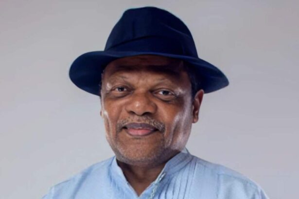 Atedo Peterside Stanbic IBTC dividend