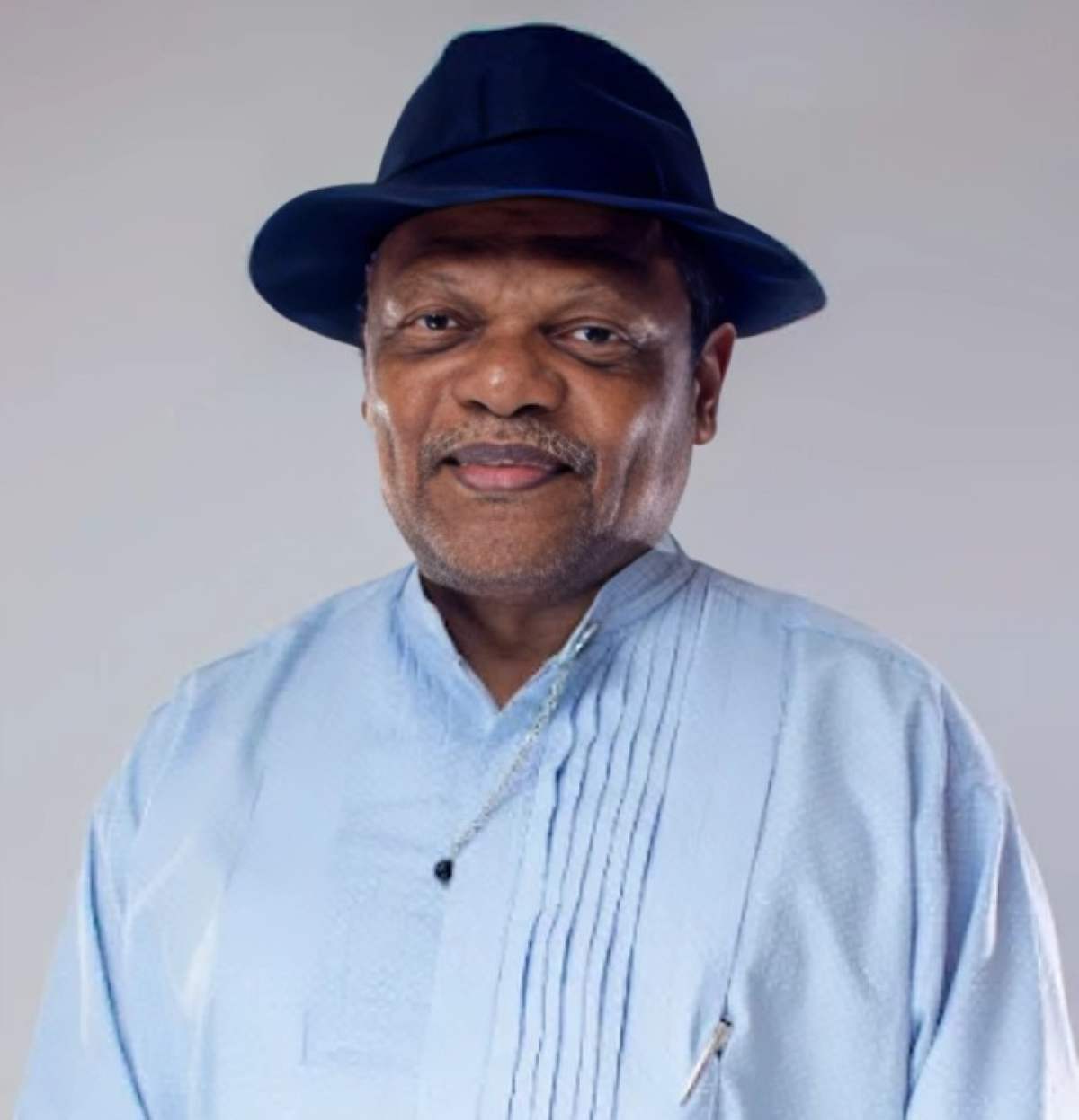 Atedo Peterside Stanbic IBTC stake